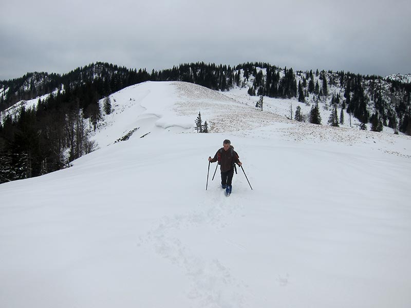 schwarzkogel